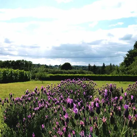 Gite St Emilion Braz A La Campagne, Carhaix 10 Min Holiday home Plevin