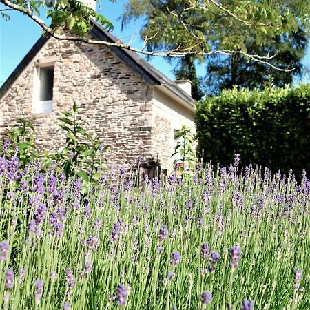 Holiday home Gite St Emilion Braz A La Campagne, Carhaix 10 Min *