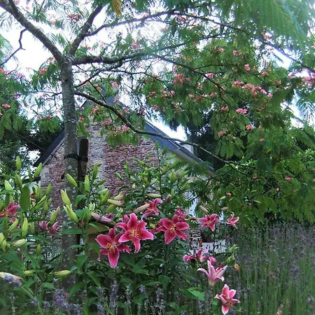 Holiday home Gite St Emilion Braz A La Campagne, Carhaix 10 Min