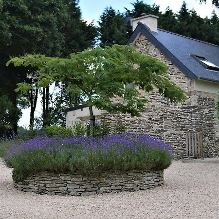 Gite St Emilion Braz A La Campagne, Carhaix 10 Min * Plevin